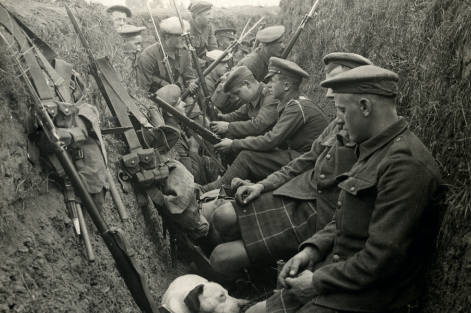 The Music & Performing Arts Collection