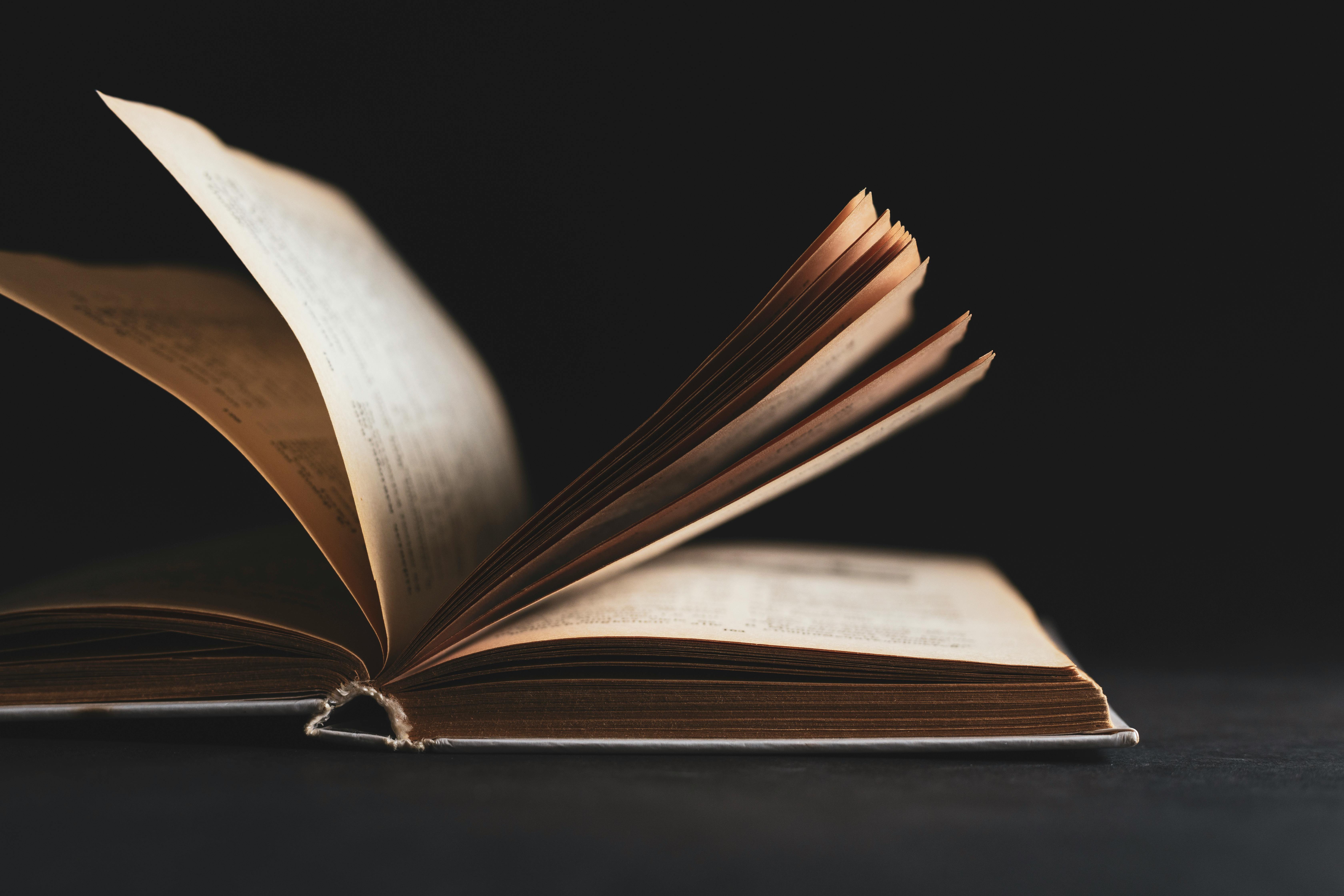 Literature/Drama