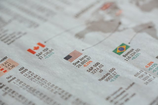Expert Market Information