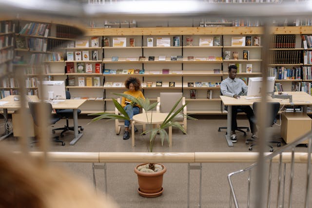 Public Library Video Online: