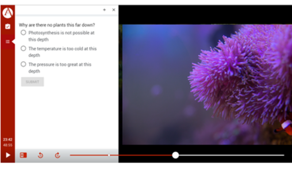 Video Interaction Functionality